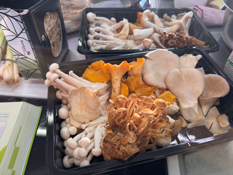 Gallery Item 1 copy copy